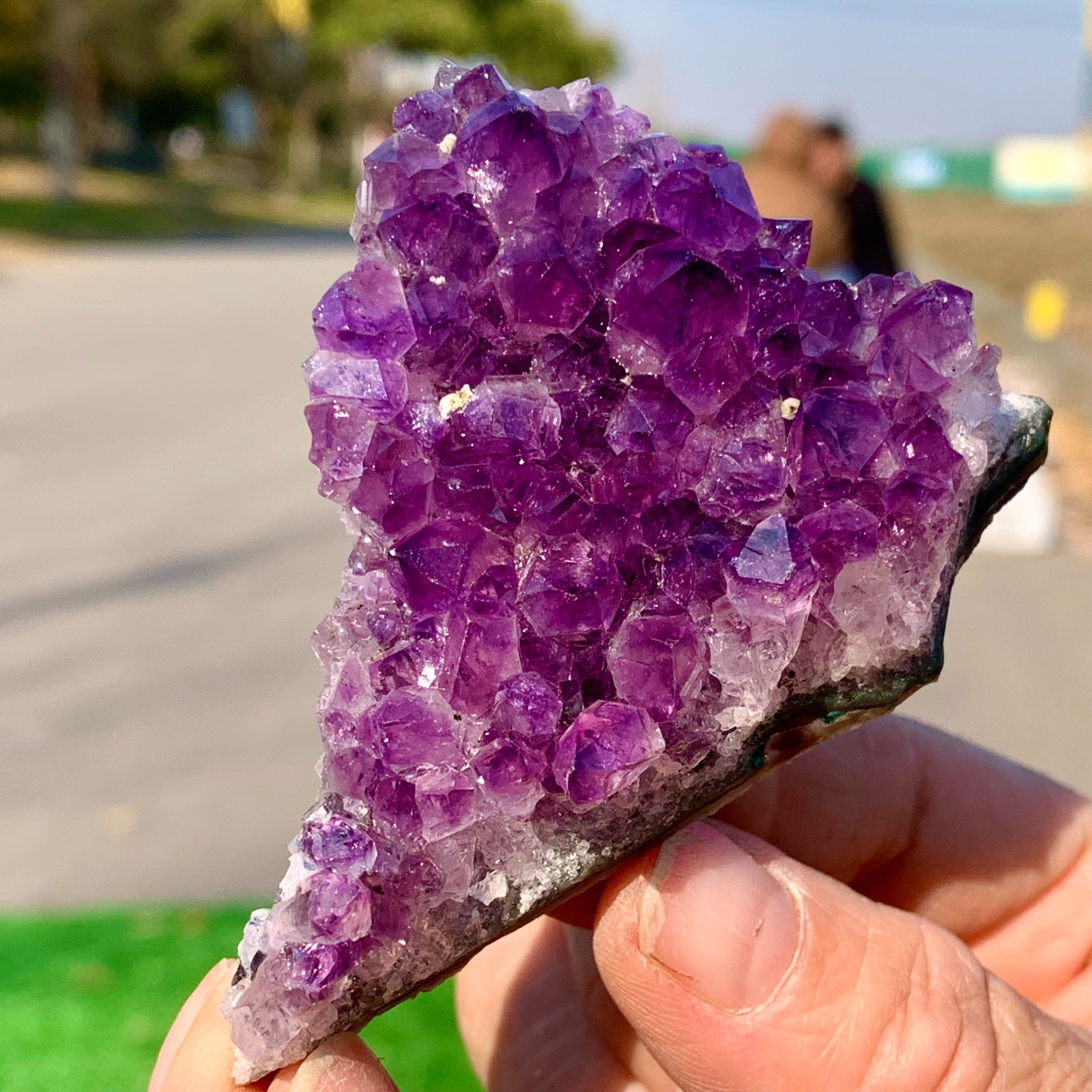 301G Natural Amethyst geode quartz cluster crystal specimen Healing A376