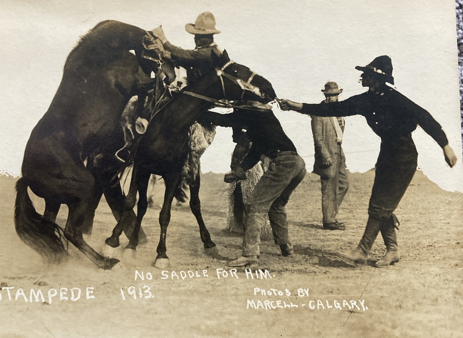 Winnipeg Stampede No Saddle For Him 1913 RPPC Postcard Winnipeg Stampede No Saddle For Him 1913 RPPC Postcard