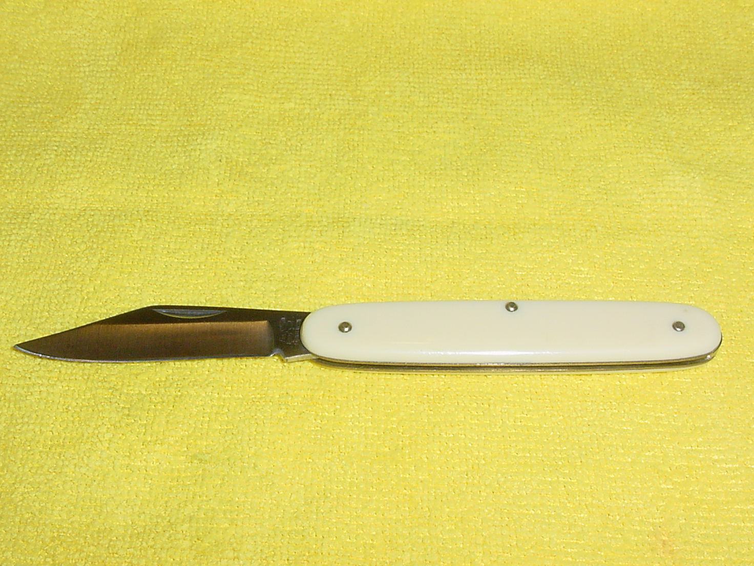 Pocket Knife Ivory Looking Flying Falcon  2 1/2'' blade plain Rust free Stainles