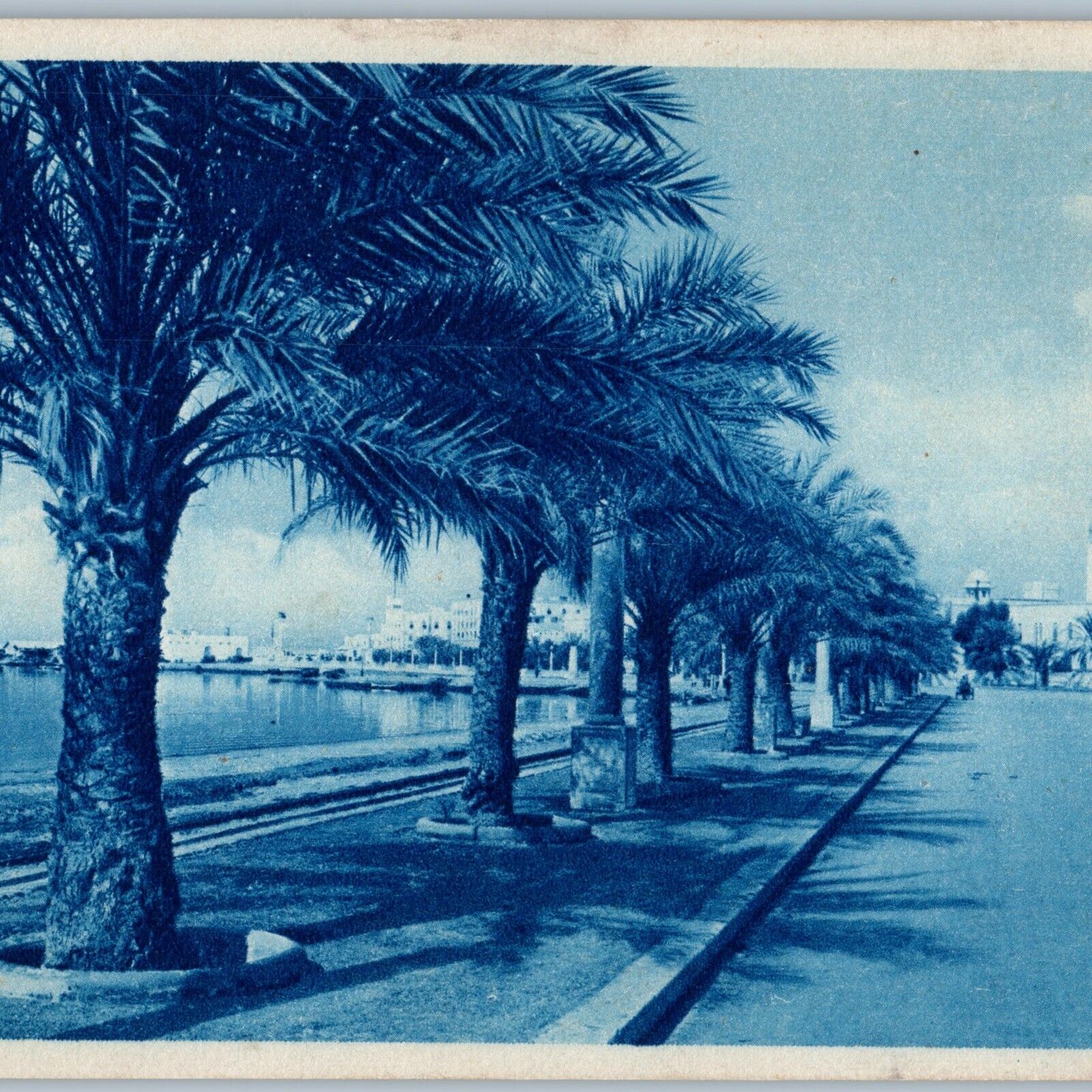 c1930s Benghazi, Libya Seafront Beach Sea City Palm Tree Africa Cyanotype A191