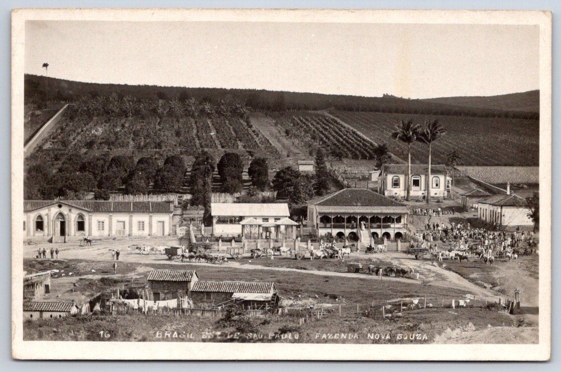 Antique Brazil Postcard SAO PAULO Fazenda Nova Souza RPPC