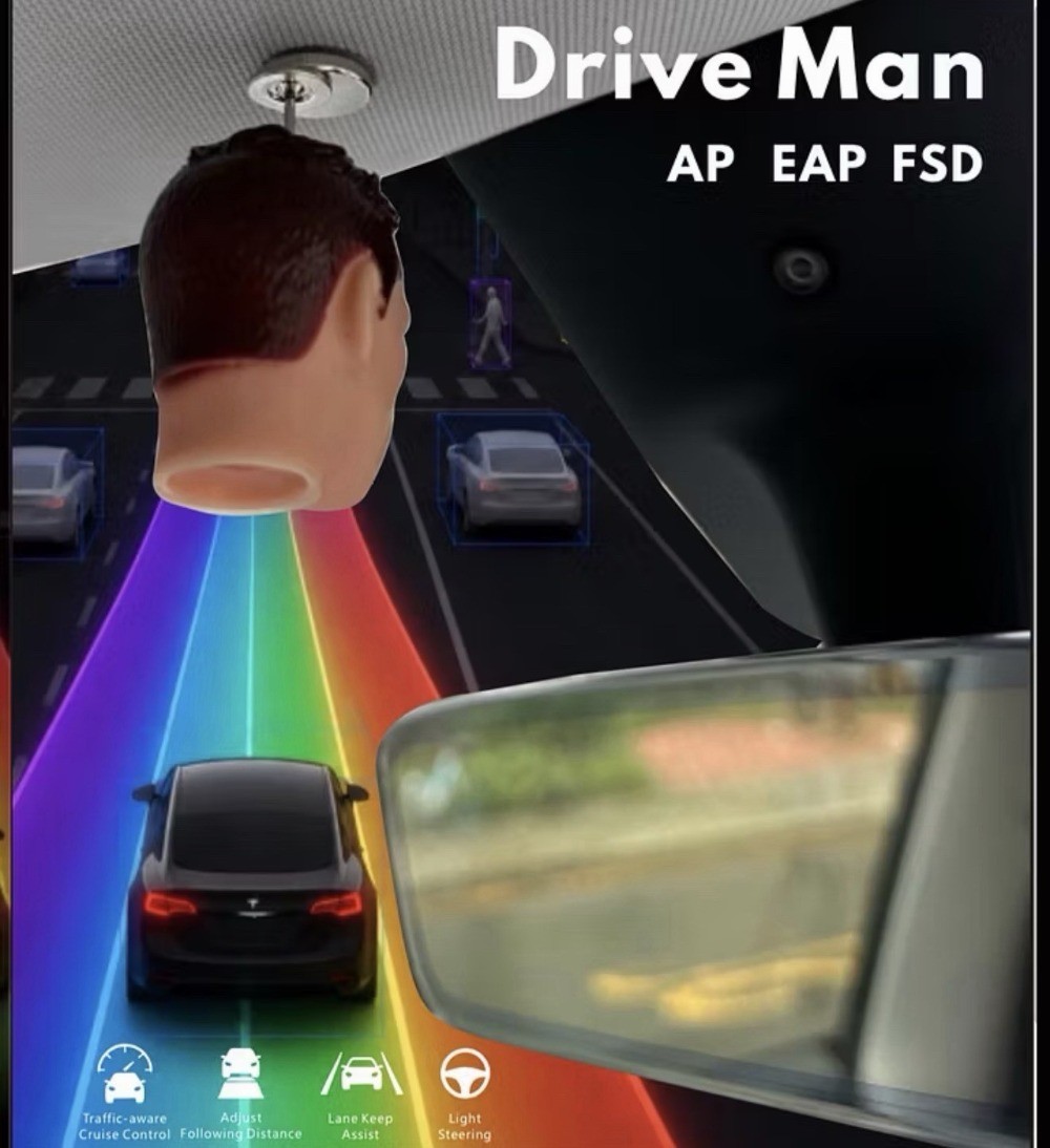 Fun Magnetic Mini Head Tesla Figurine | Car Interior Ornament | Mode3/YL/Y/S NEW