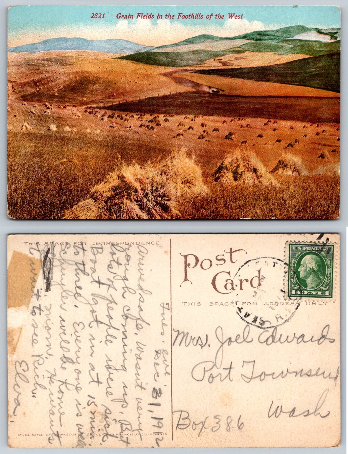 1922 Grain Fields Foothills of the West Port Townsend WA Postcard