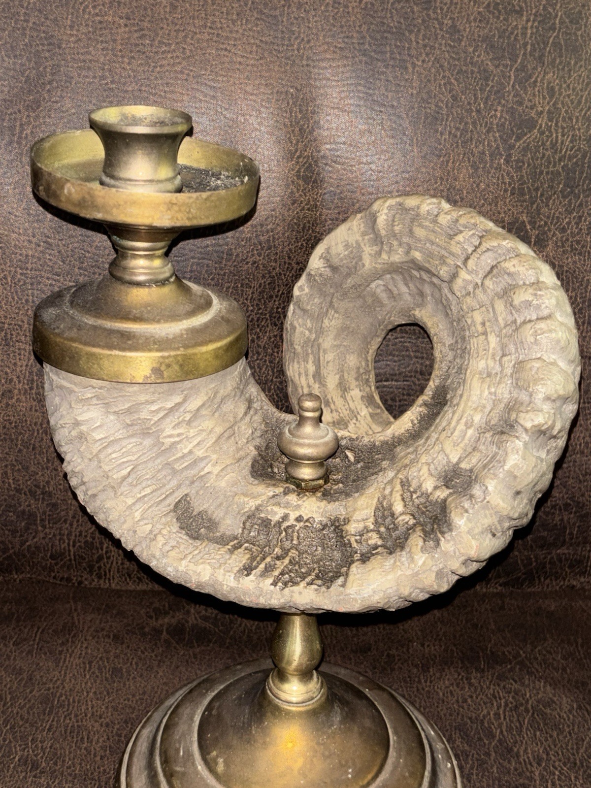 Antique French Brass Ram Horn Candlestick Holder Cornucopia Gothic Pricket 10