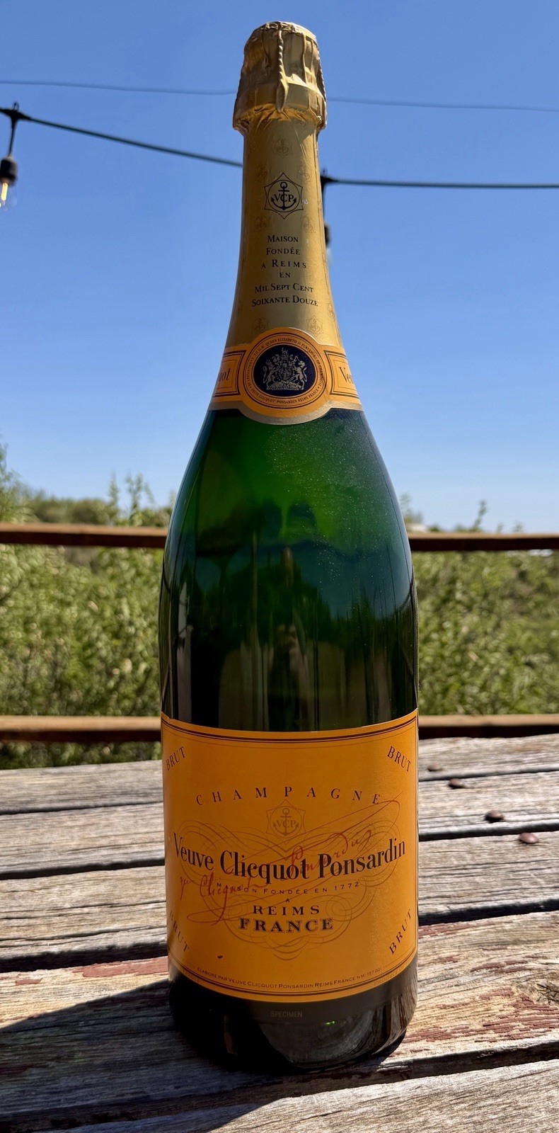 RARE Vintage Veuve Clicquot Champagne Empty Wine Bottle CORKED 19” DISPLAY Empty