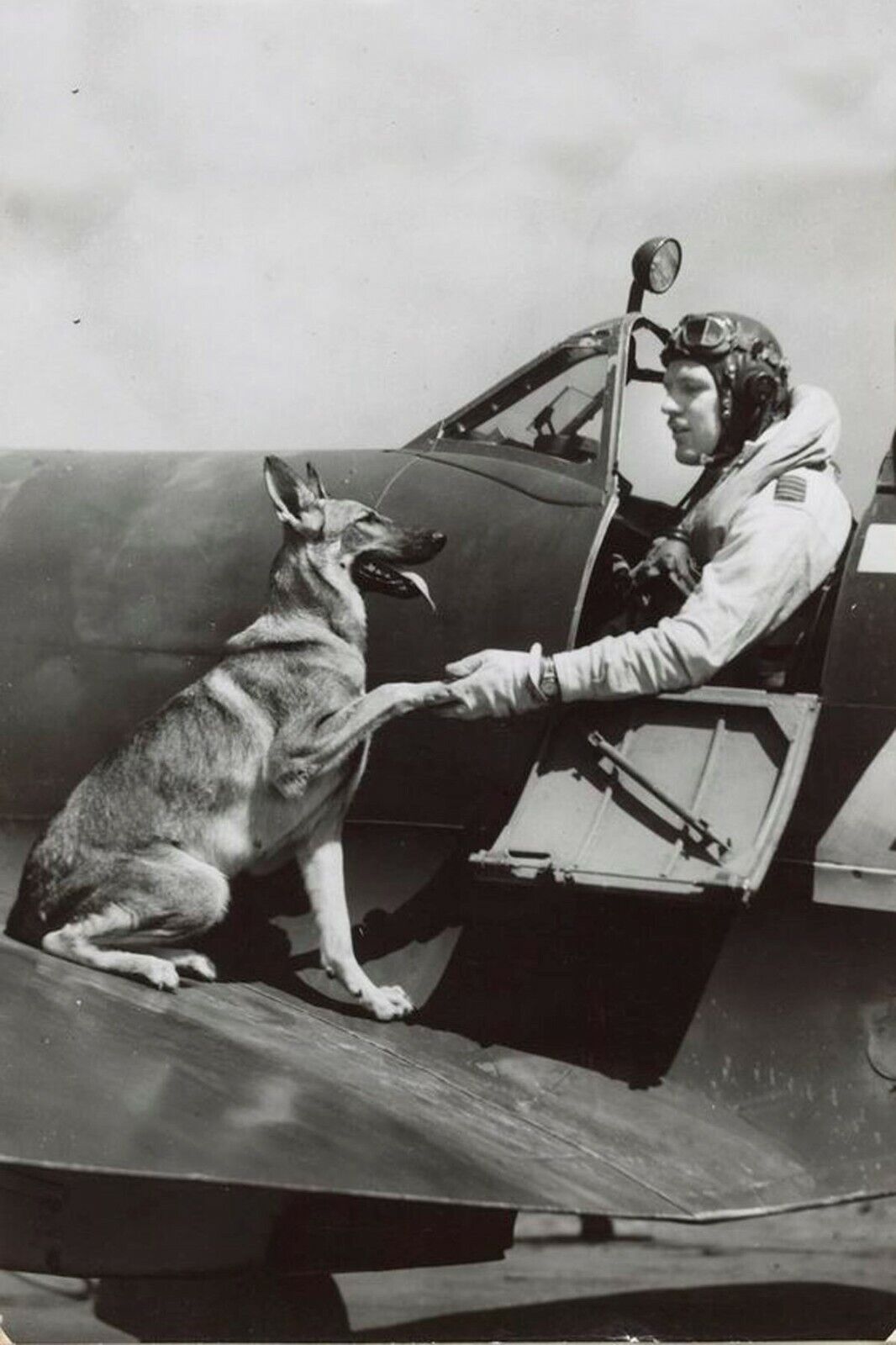 Fighter pilot before takeoff and his dog WW2 Photo Glossy 4*6 in Z011