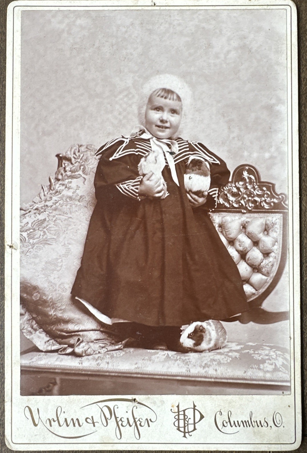 Antique Victorian Cabinet Card Child w Guinea Pig Urlin Pfeifer Columbus Ohio