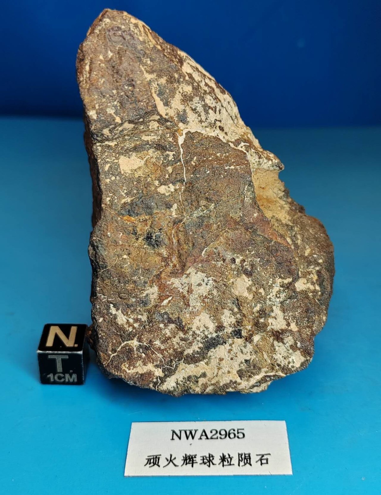 282g NWA 2965 Enstatite Chondrite Meteorite Fossil Specimen From Algeria 282g NWA 2965 Enstatite Chondrite Meteorite Fossil Specimen From Algeria