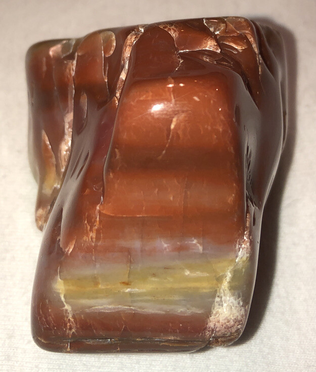 Polished Petrified Wood (Arizona) Approx 225 Million Years Old GORGEOUS SPECIMEN