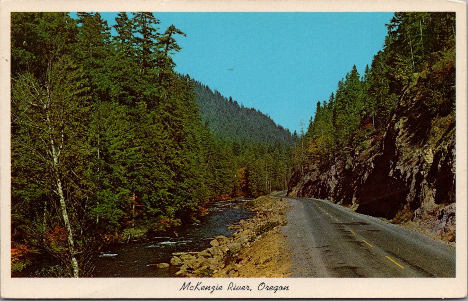 Vintage McKenzie River From Clear Lake Cut-Off Road Oregon Postcard F3