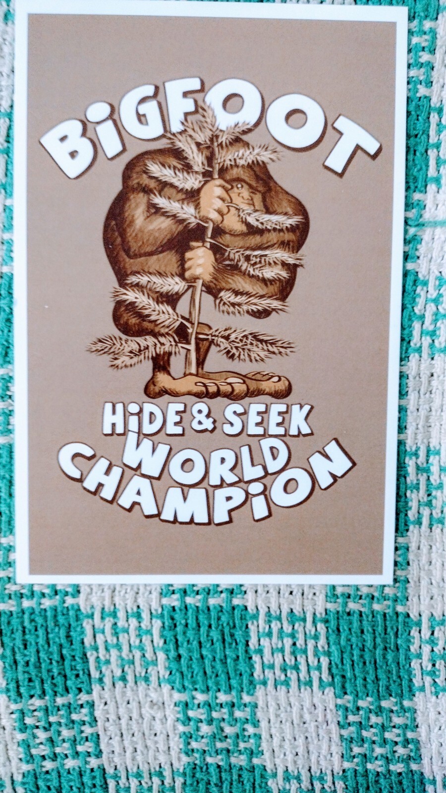 AWESOME POST CARD BIGFOOT HIDE & SEEK WORLD CHAMPION