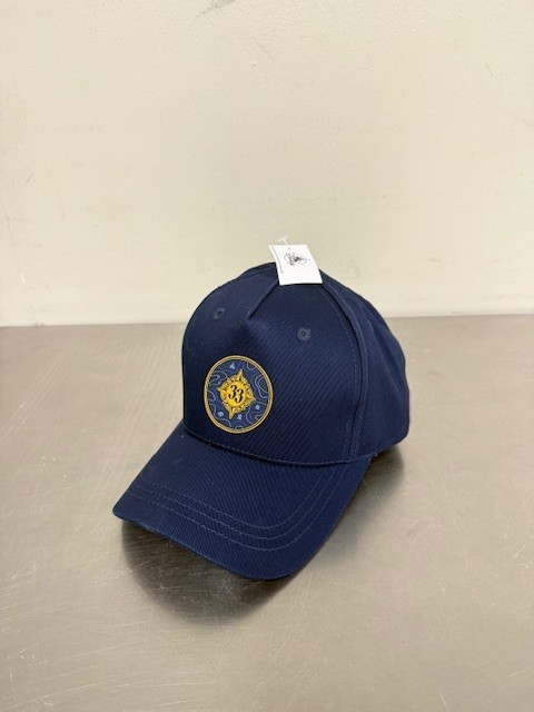 NEW RARE CLUB 33 WDW Walt Disney World Blue Sports Hat - Exclusive