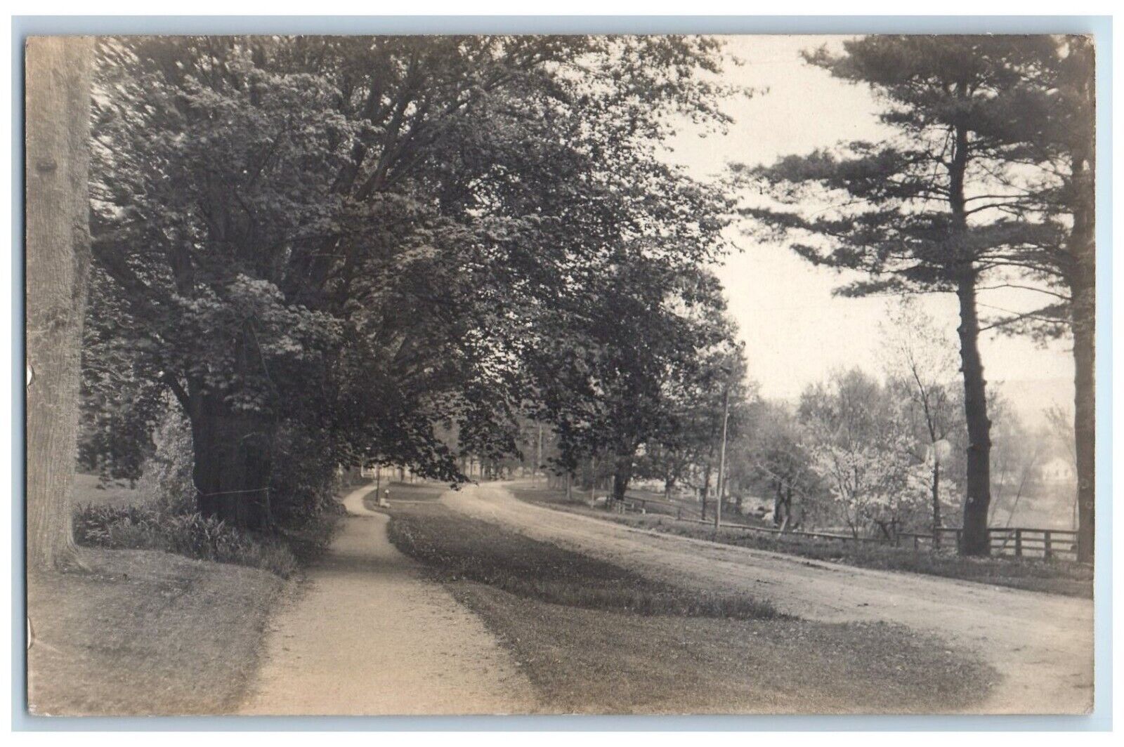 c1910's Dirt Road Street View And Trees Sheffield MA Antique RPPC Photo Postcard