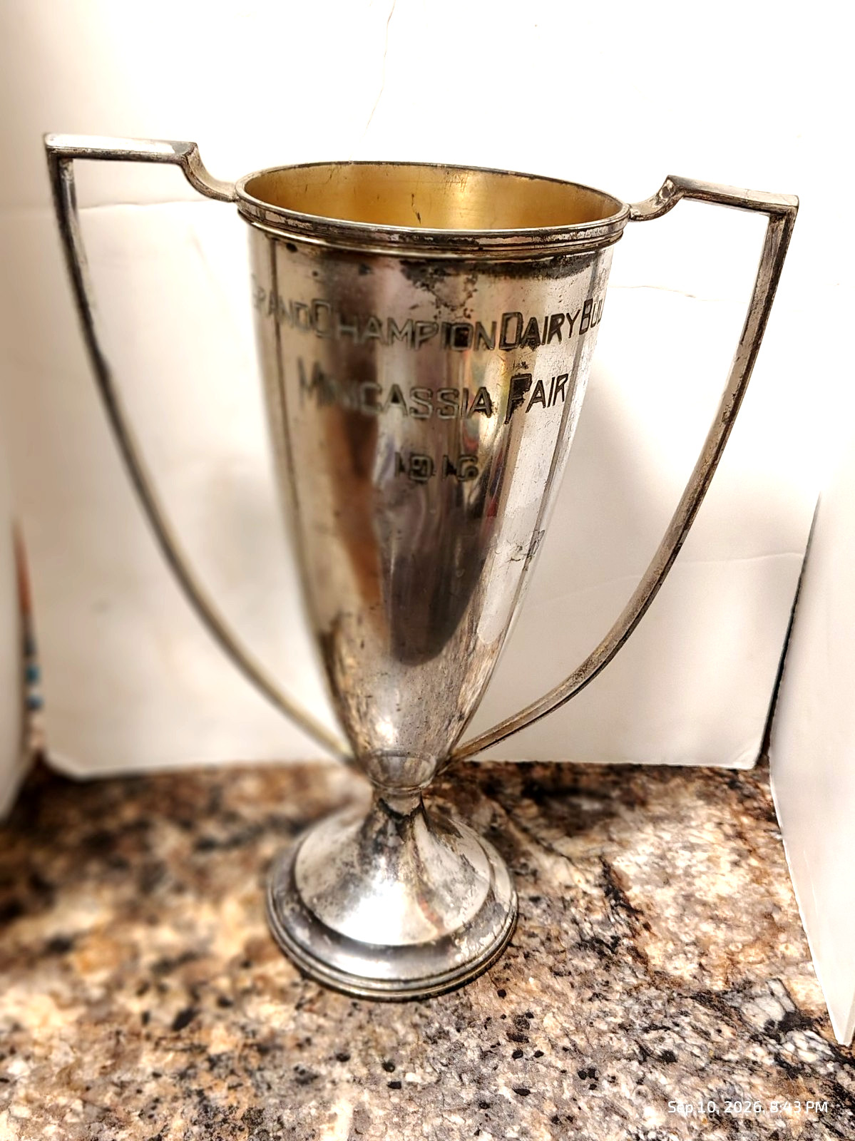 rare grand champion dairy bull minicassia fair 1916 loving cup trophy