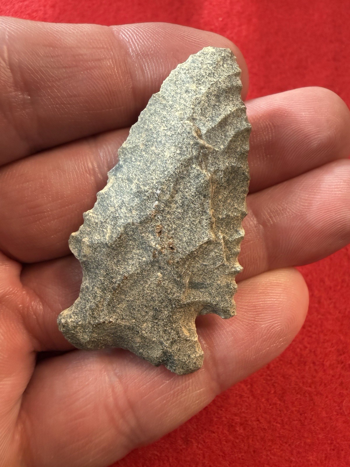 Arrowheads,Pinetree,kirk,serrated, Hayden Allen Collection,2inches,NC Arrowheads,Pinetree,kirk,serrated, Hayden Allen Collection,2inches,NC