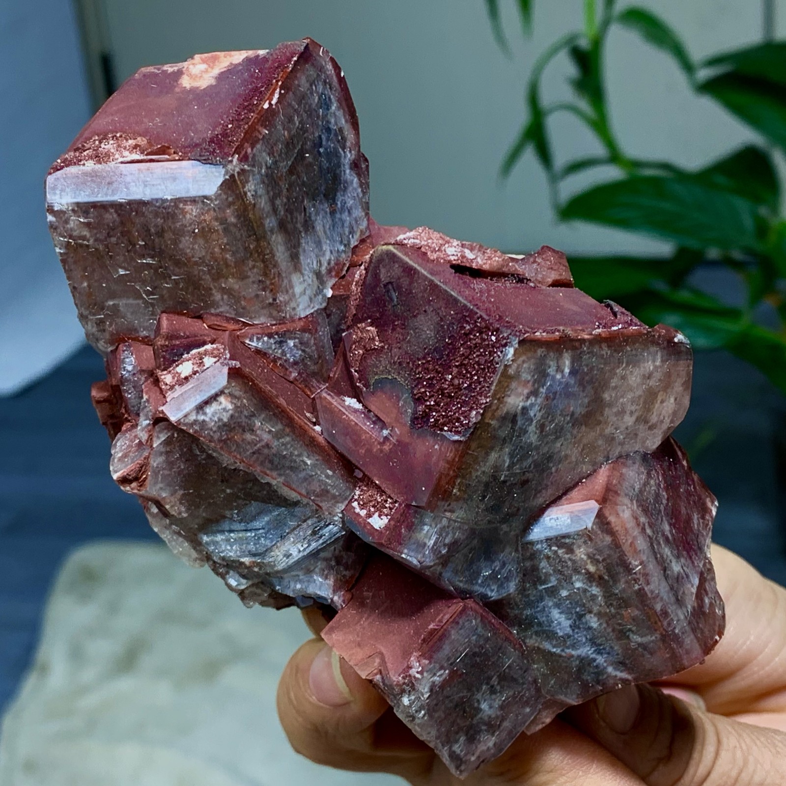 460G Rare Natural Chocolate Calcite Specimen cluster rough mineral sampleV