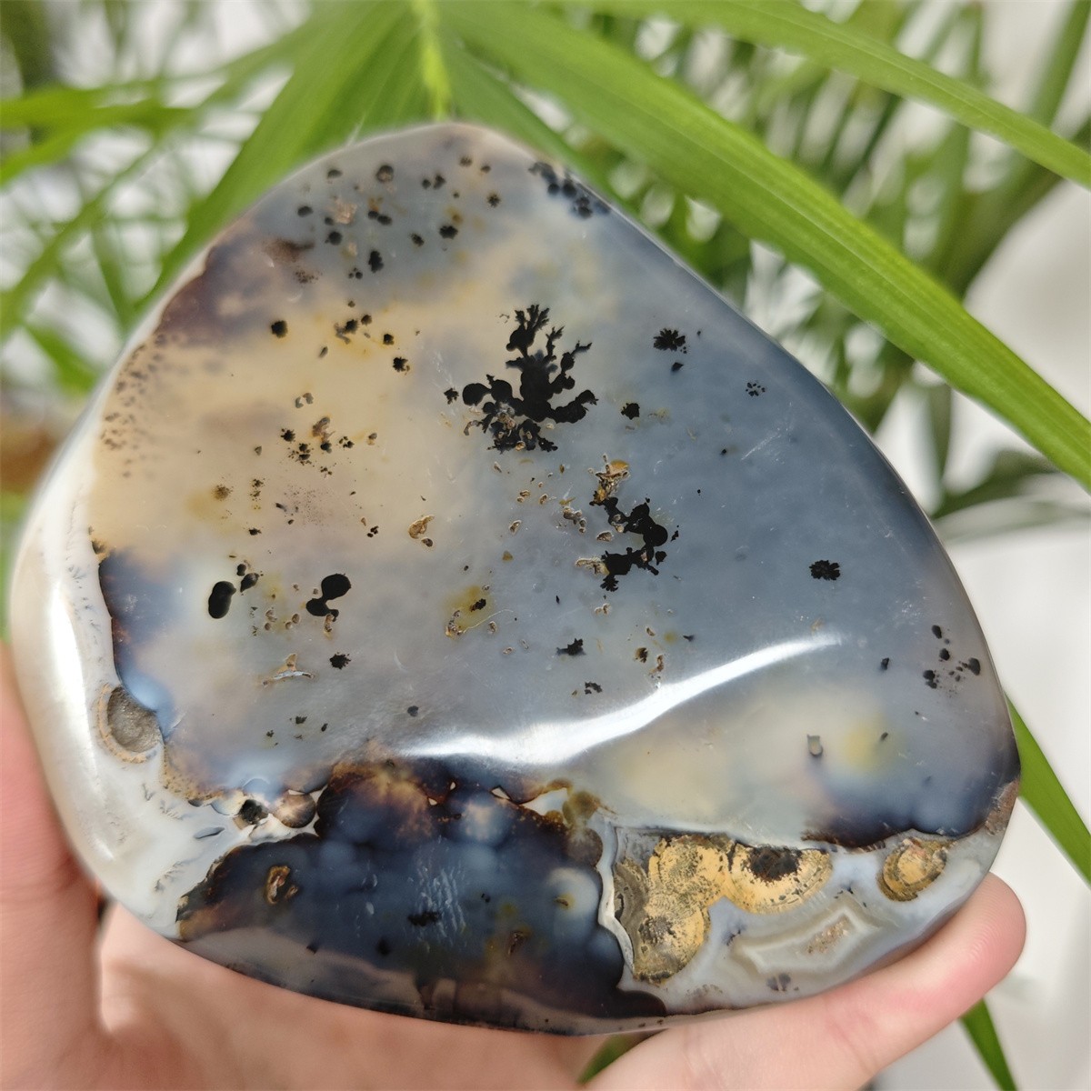 Top 405g Natural Polished Aquatic Plants Agate Crystal Madagascar healing L498