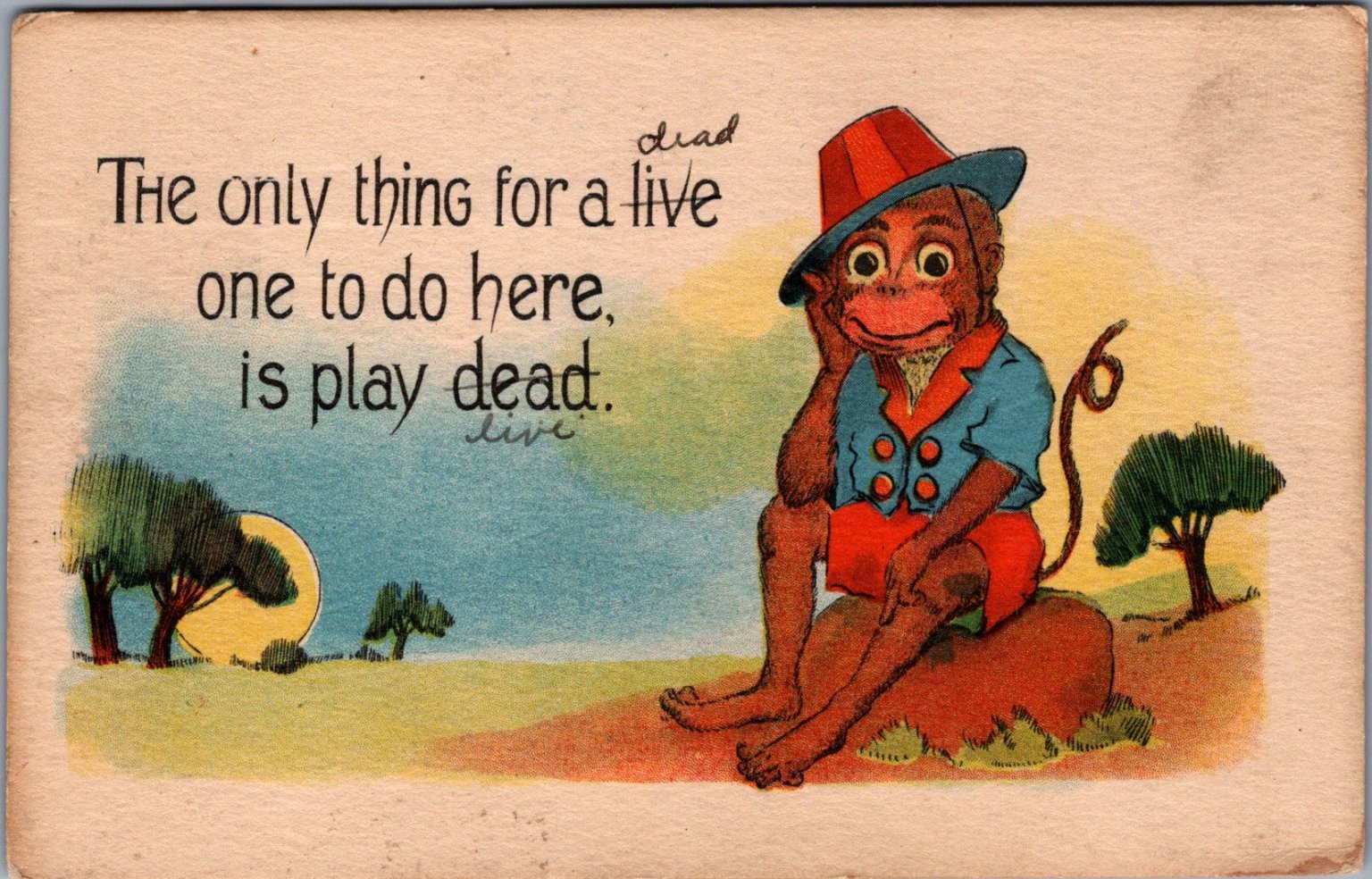 1913 Comic Monkey Postcard \