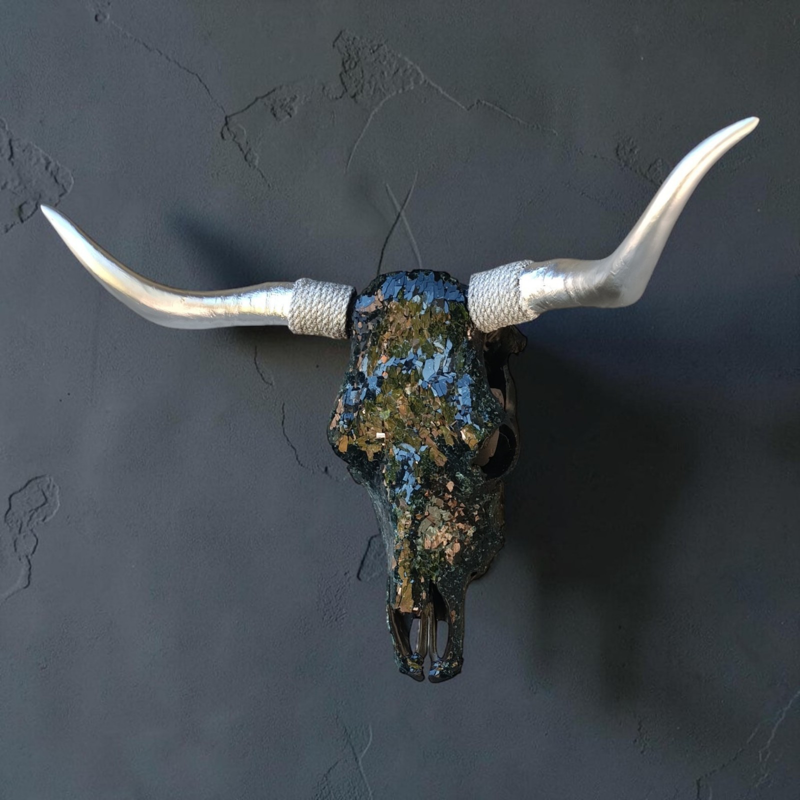 Real bull skull. Wall decor. Cow skull. Real bull skull. Wall decor. Cow skull.