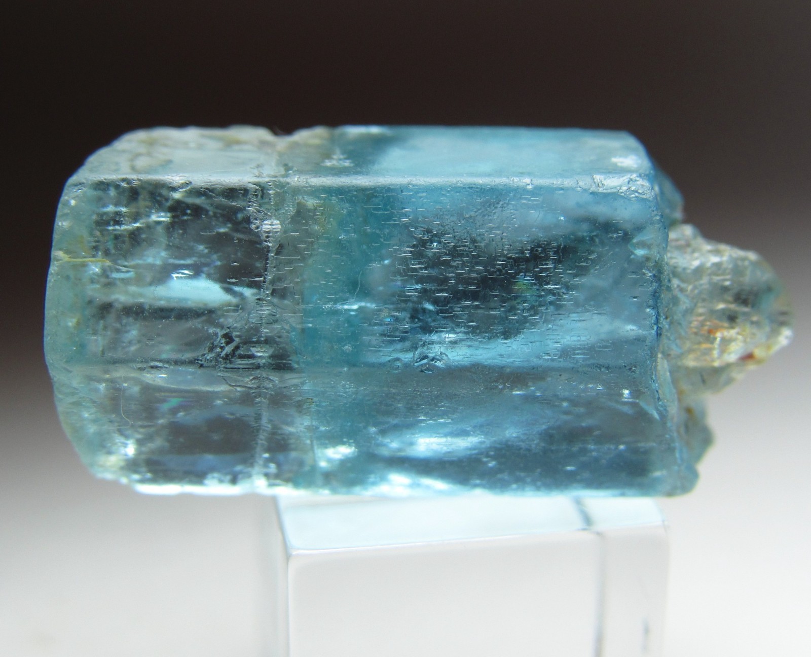 REMARKABLE RARE GEM AQUAMARINE BERYL SCEPTER CRYSTAL JOS NIGERIA 