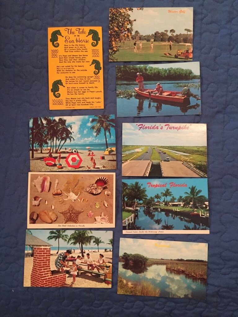 9 PC Florida - only one used LOOK