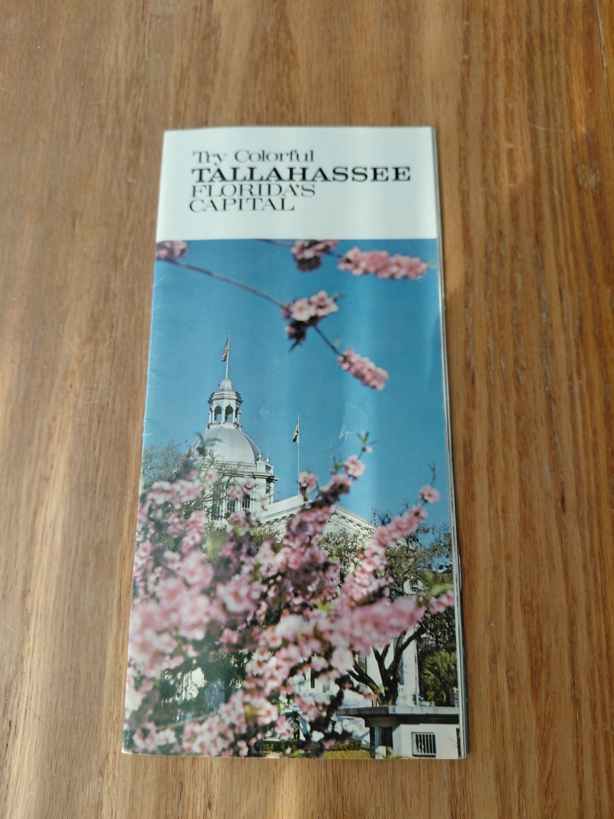 Vintage 1969 Tallahassee Florida FL Tourist Rare Travel Brochure State Capital
