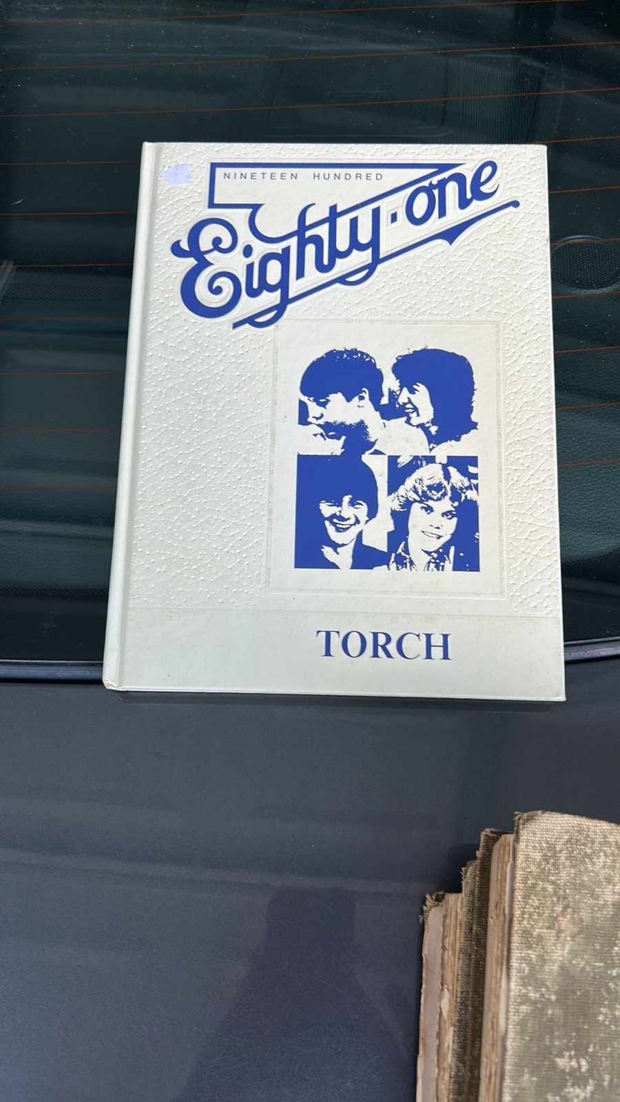 1981 St. Dominic High School Torch Yearbook - O\'Fallon, MO
