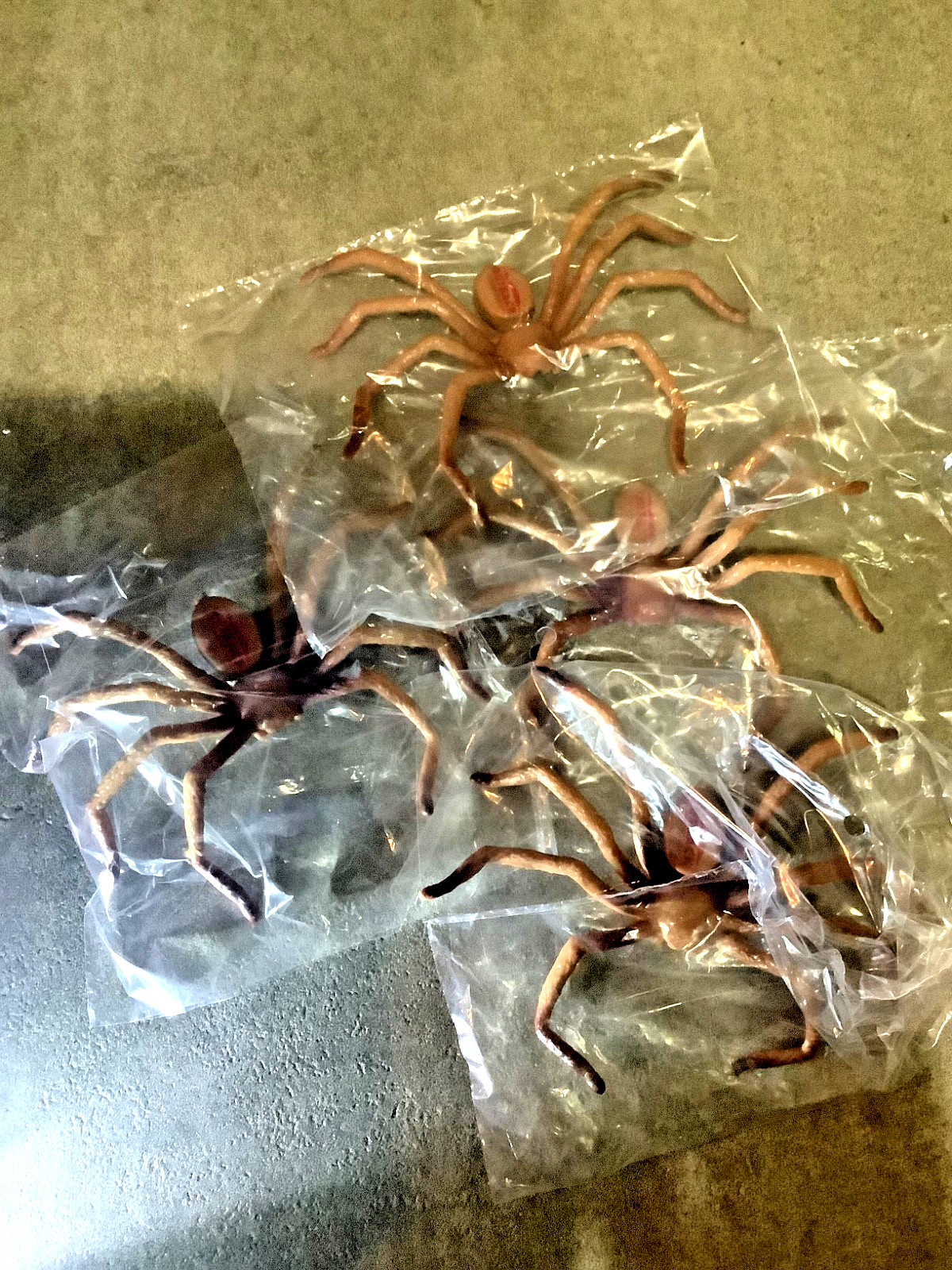 (5) Outback Steakhouse Spiders Collectible HuntsmanSpider Halloween Decoration (5) Outback Steakhouse Spiders Collectible HuntsmanSpider Halloween Decoration