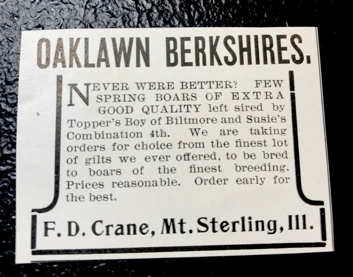 ORIGINAL 1903 F.D. Crane Hog Advertising - Mt. Sterling - Illinois - Pig - Farm