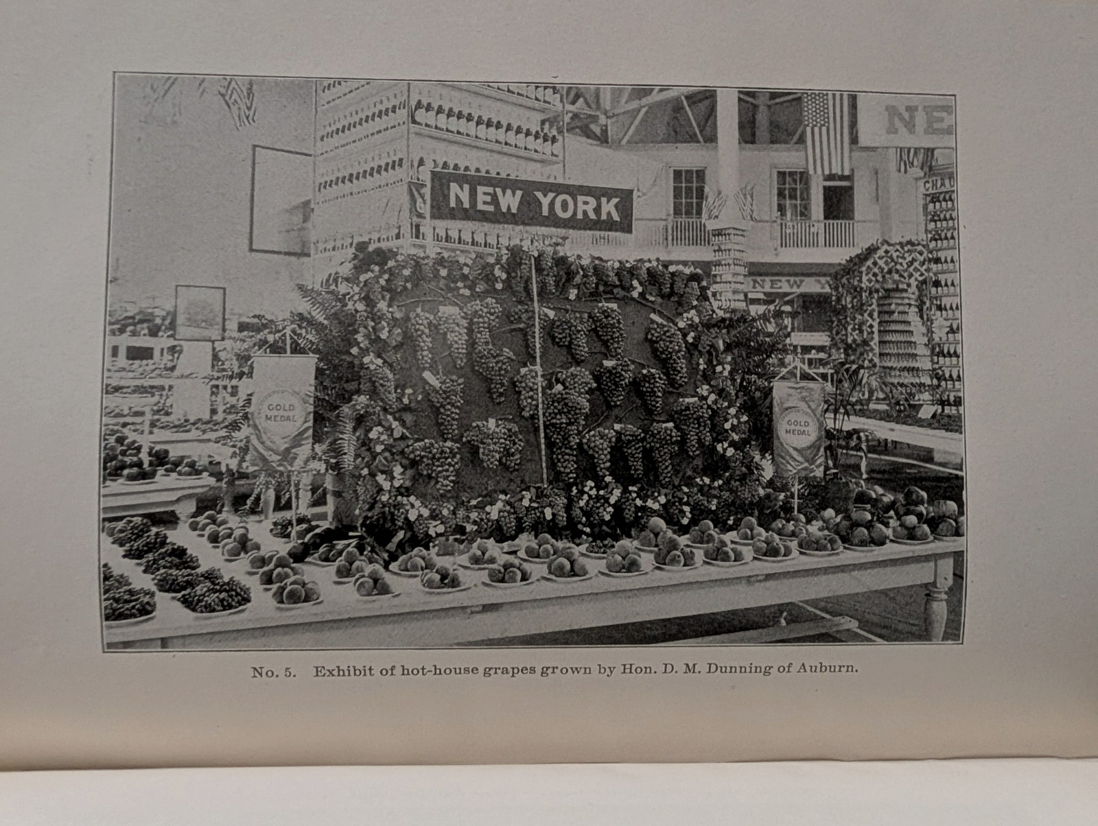1902 New York Farmers' Bureau Report / 1901 Pan American Expo Buffalo Photos