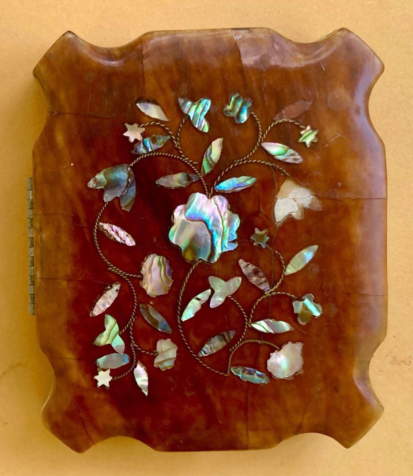 RARE - BEAUTIFUL TORTOISE SHELL CASE ` 1/9 PLATE - EXCELLENT CONDITION