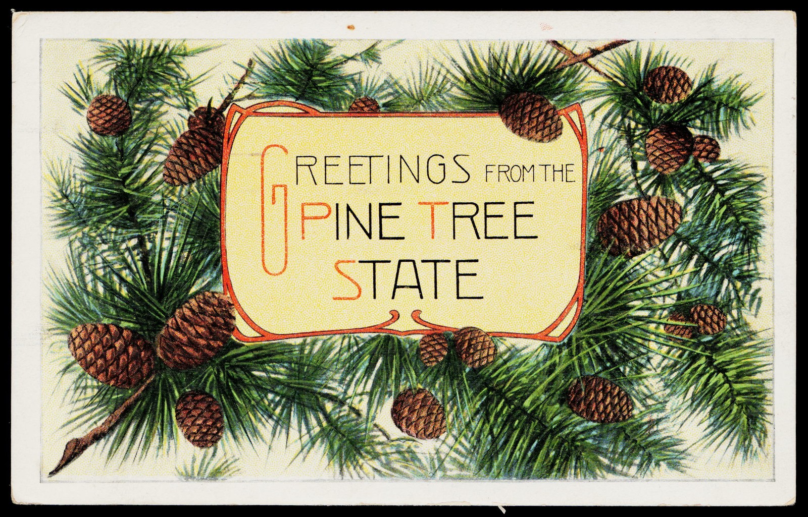 C1920 Portland Maine Greetings from the Pine Tree State Pinecones Litho Postcard