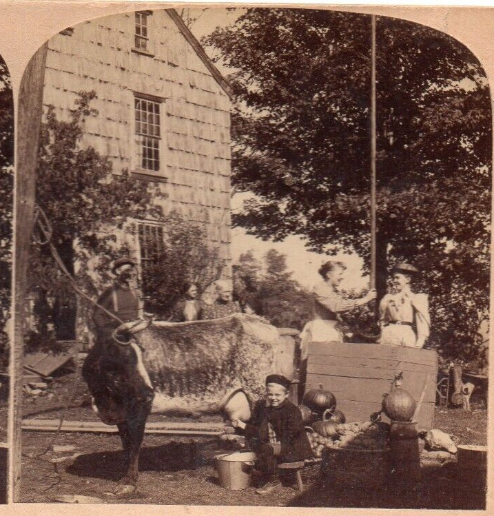 1895 Land of Liberty, Flowing with Milk and Honey.   Stereoview Photo