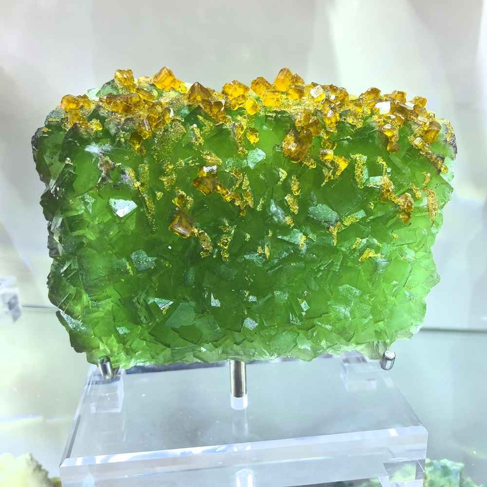 13.8LB TOP Natural Yellow Green fluorite Symbiosis Specimen Heal Furniture decor