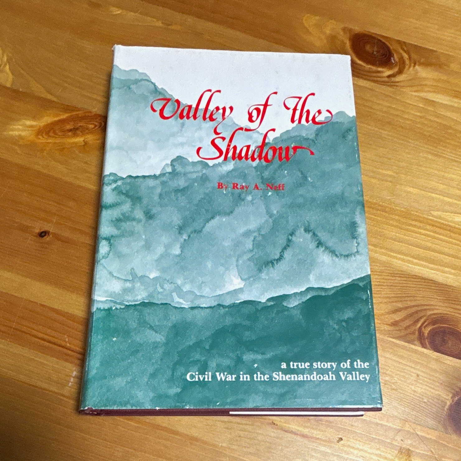 Valley of the Shadow True Story of the Civil War (1861-65) Militaria Book