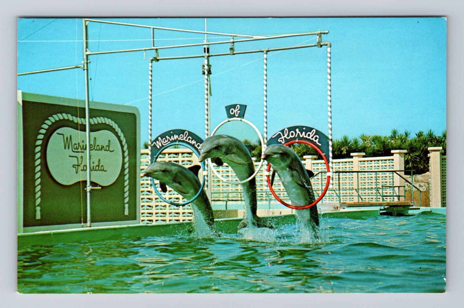 FL-Florida, Dolphins At Marineland, Antique, Vintage Postcard