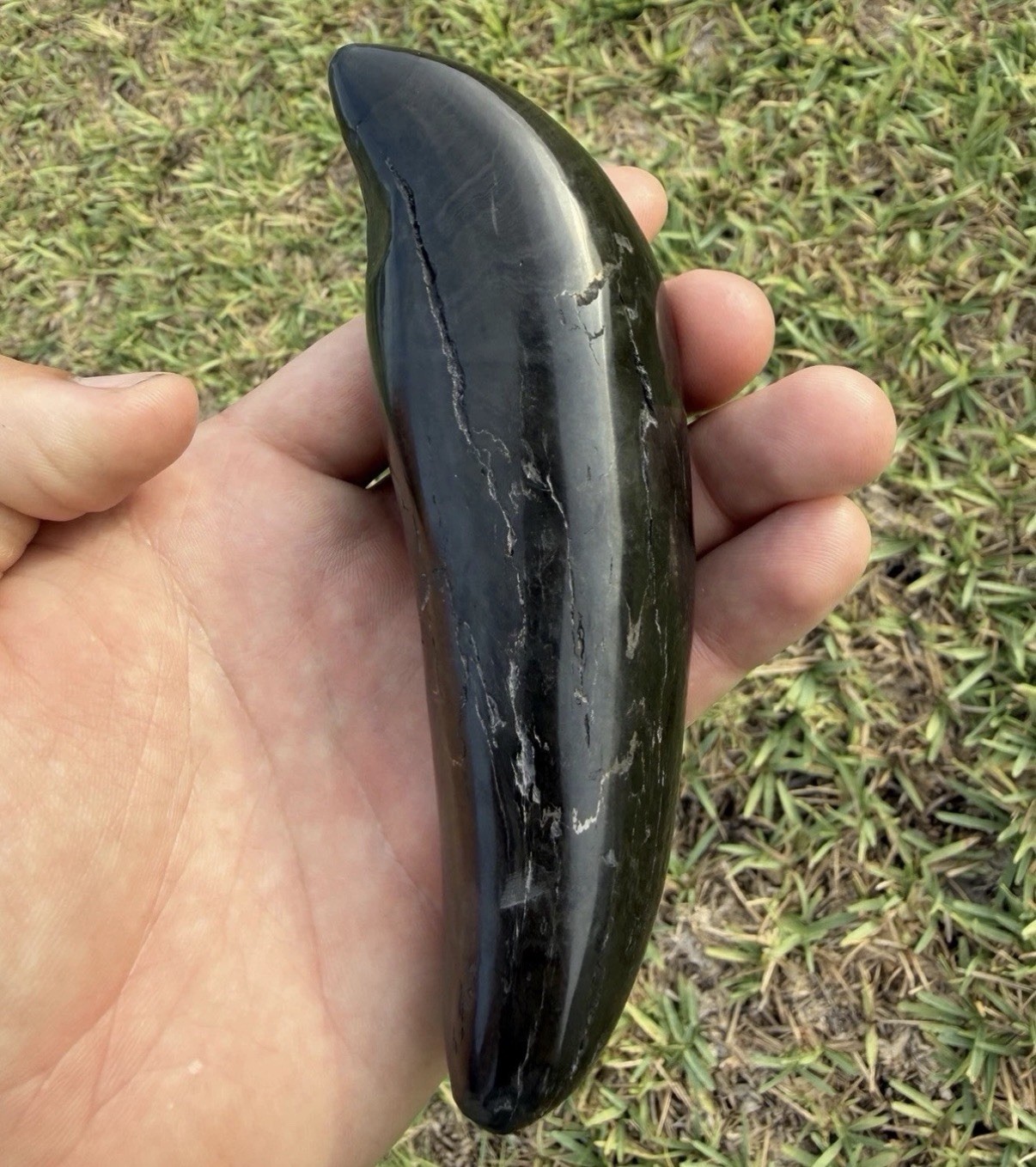 Giant Megalodon Era Marine Mammal Predator Tooth Fossil (polished) Giant Megalodon Era Marine Mammal Predator Tooth Fossil (polished)