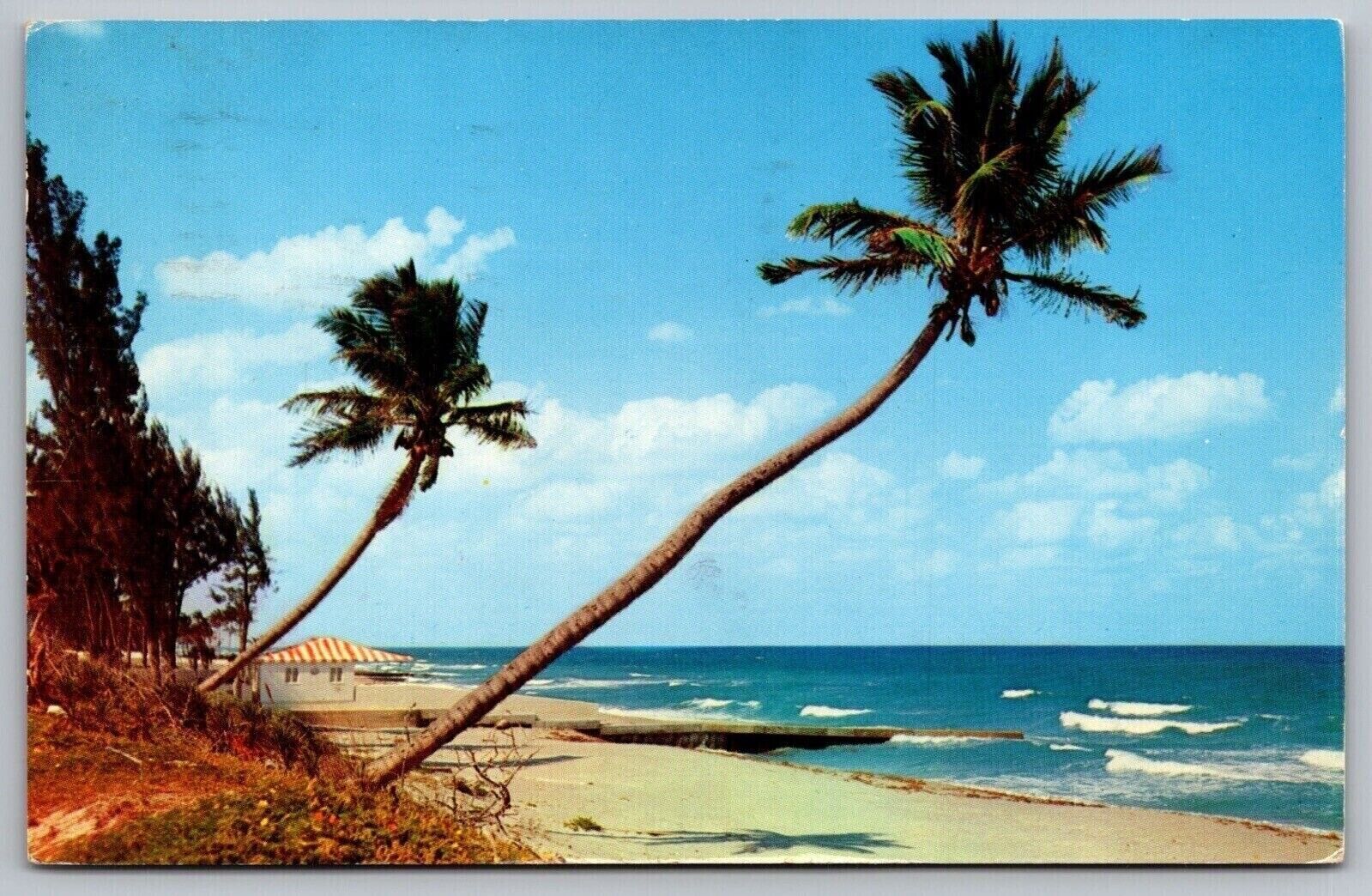 Whispering Palms Florida Coast 1960 Cancel Saint Petersburg Postcard
