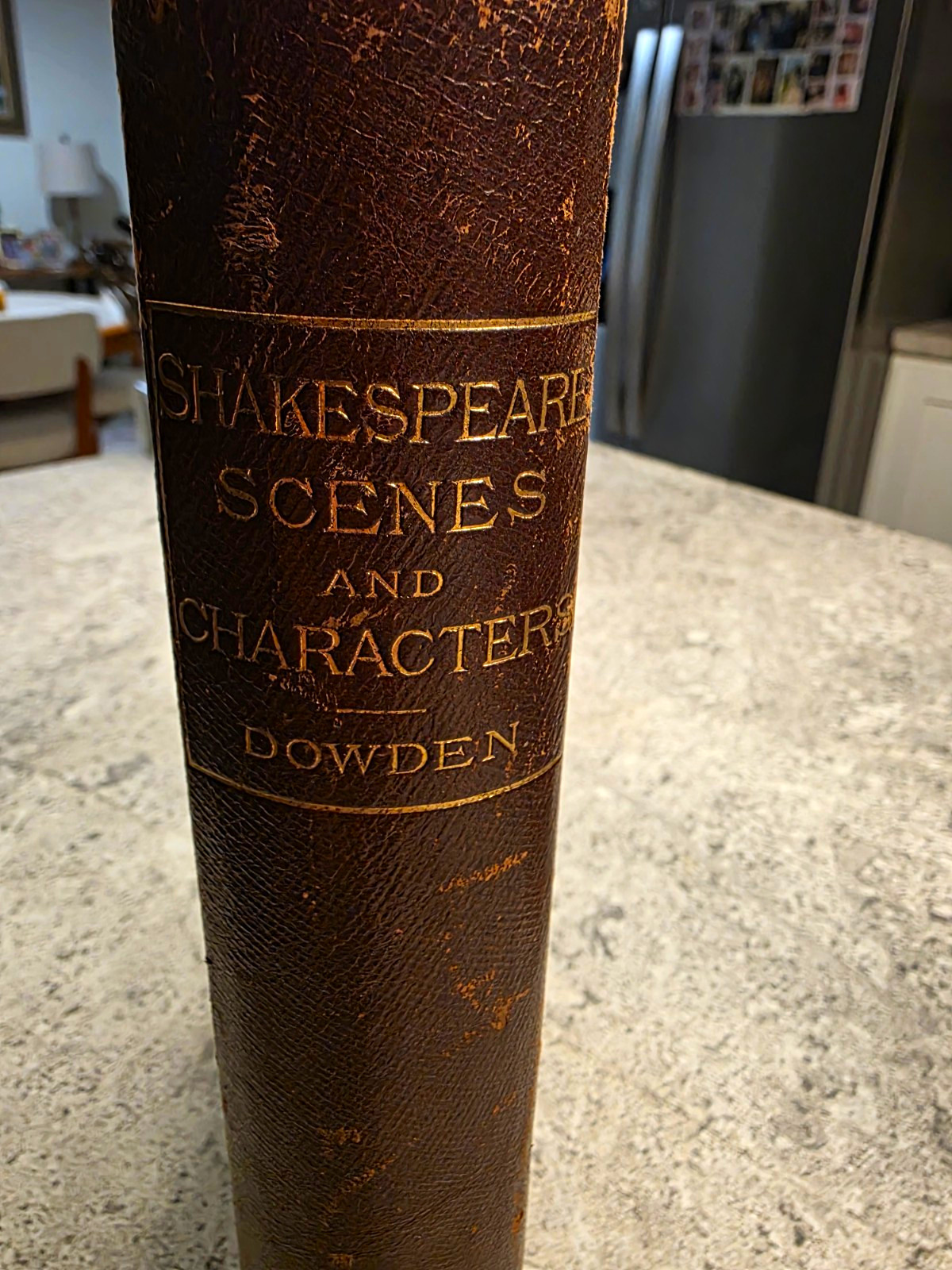 Antique Copy Of Shakespeare Scenes And Characters 1876