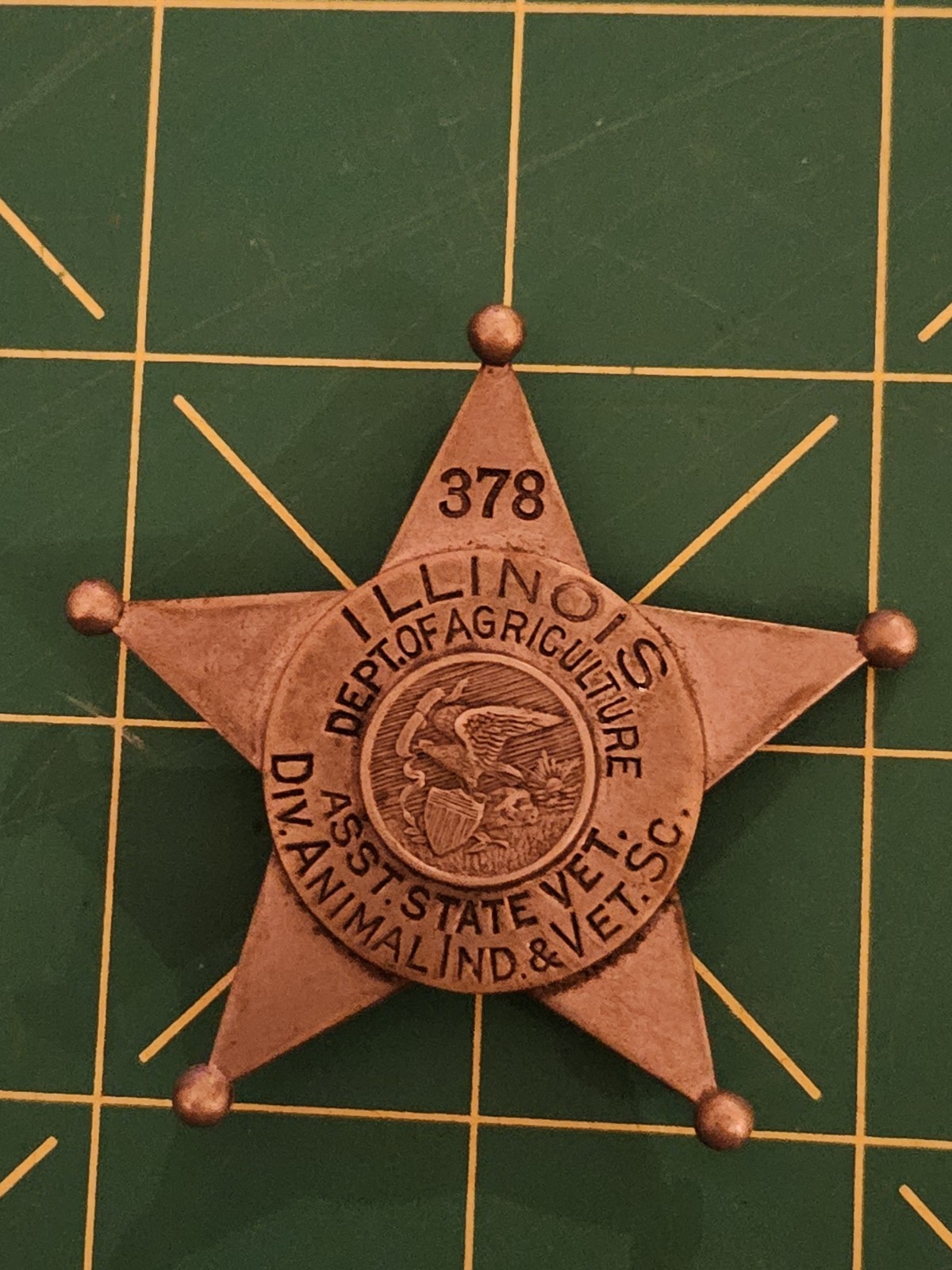 1930s Illinois Asst Vet Badge Agriculture Animal Industry Veterinary Services 