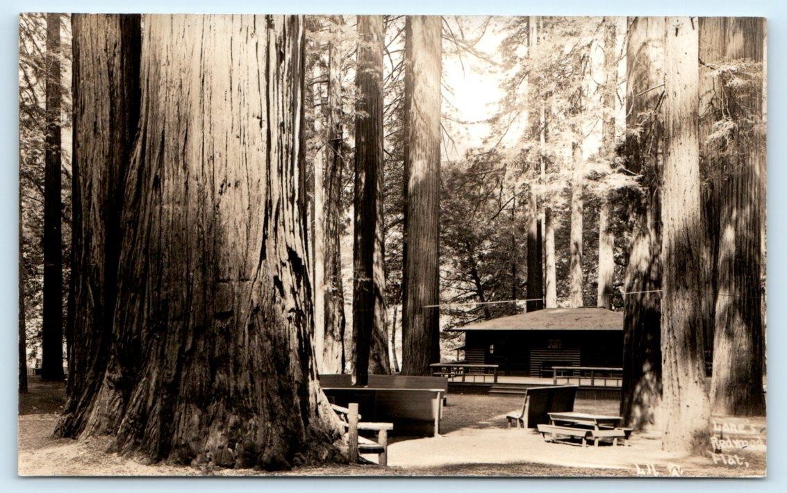 RPPC LEGGETT, CA California ~ LANE\'S REDWOOD FLAT ~ Patterson c1930s  Postcard