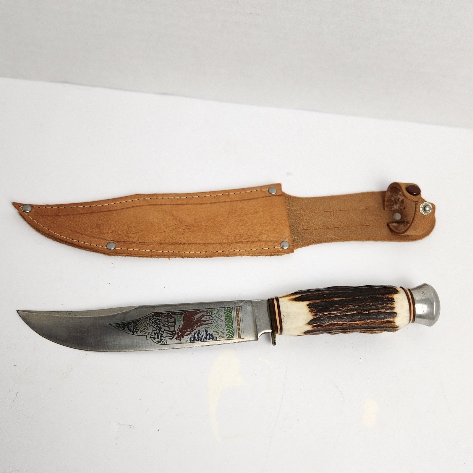 Vintage Solingen Cutlery B Svoboda Germany Stag Handle Hunting Knife with Sheath
