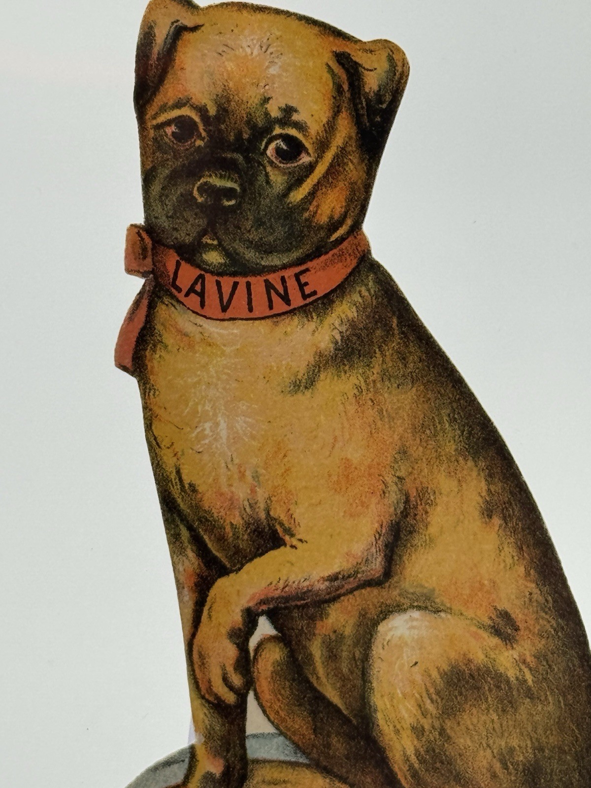 c1890 Lavine Soap Die-Cut Trade Card Pug Dog Pillow Cushion Hartford Chemical