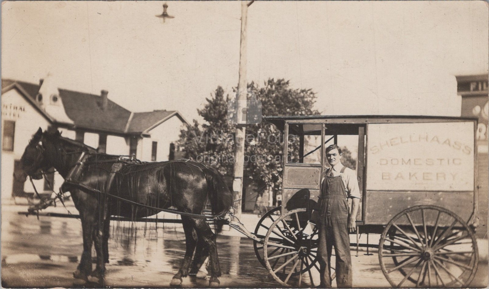 Shellhaas Domestic Bakery Horse Delivery Wagon Central Hotel RPPC 1910s Postcard