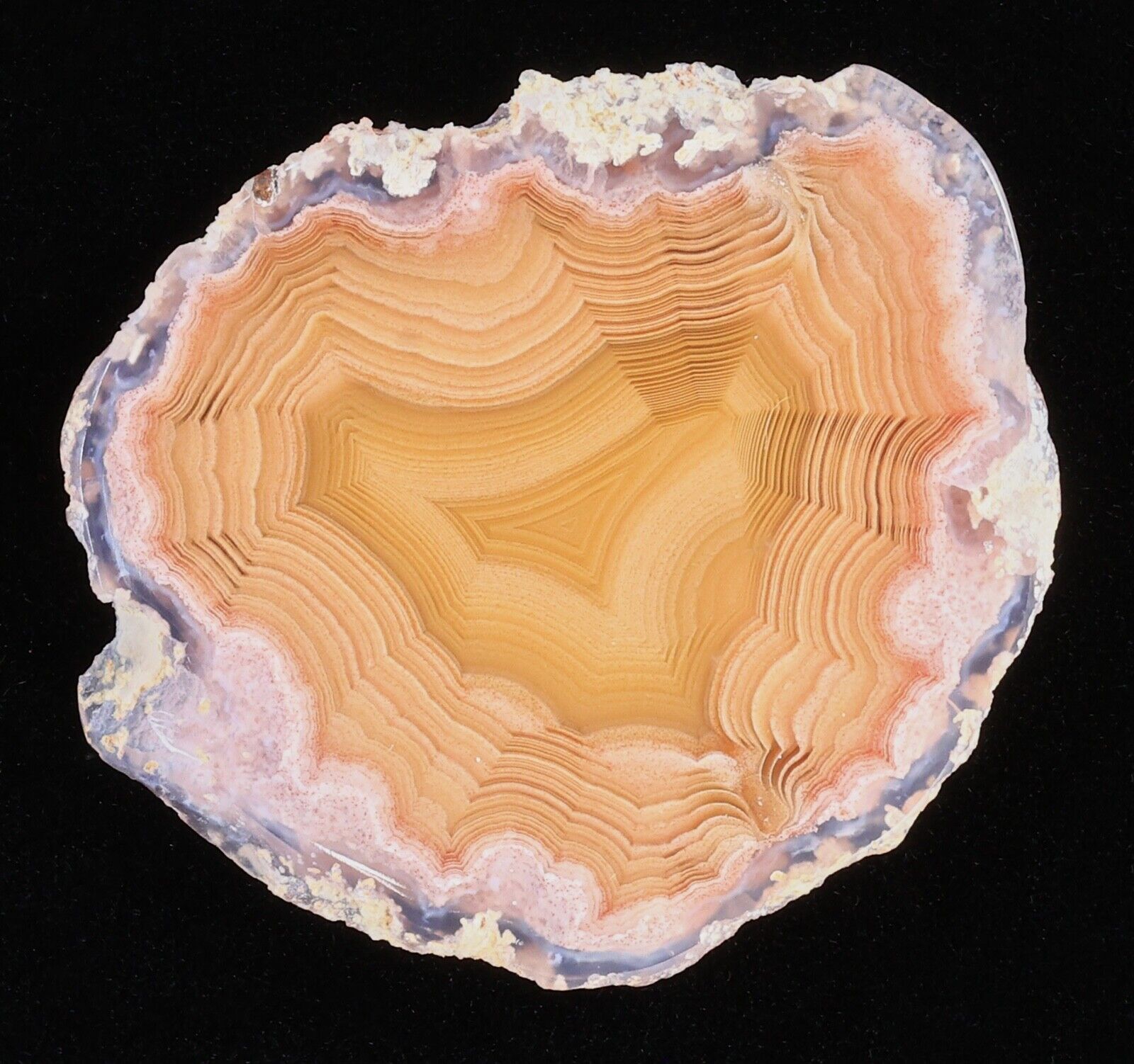 Gorgeous Little Laguna Agate Slice with amazing patterns and parallax