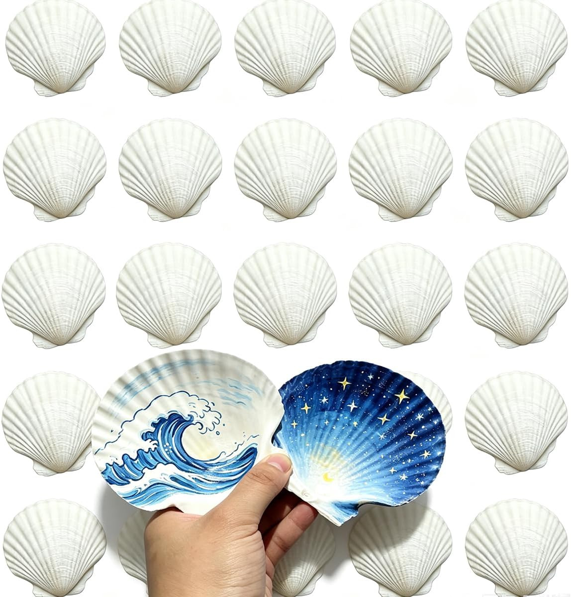 30 PCS Natural Sea Shells for Crafts 2-3 Inches White Bulk Scallop
