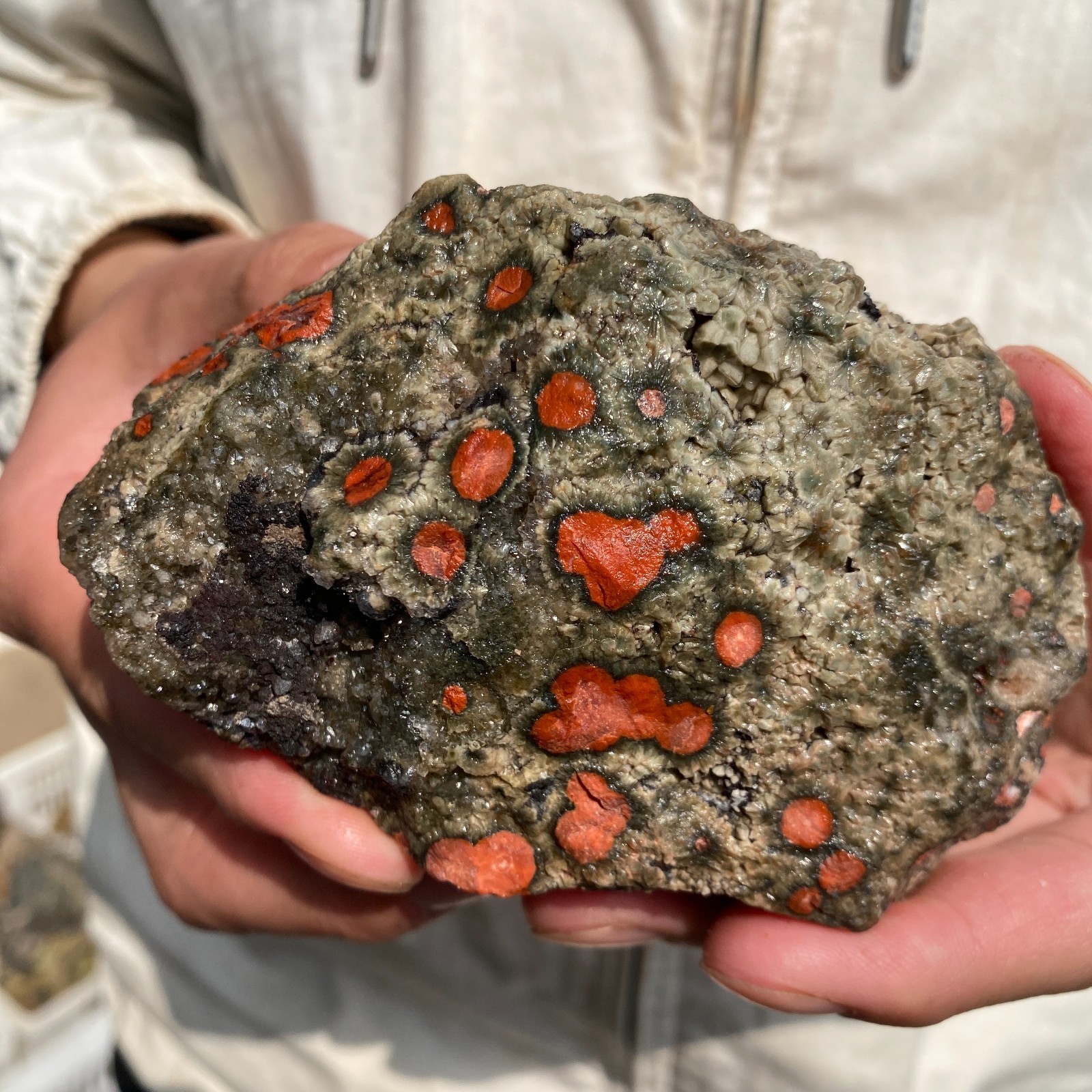 440G Rare Natural Raw Ocean Jasper Rough Quartz Crystal Mineral SpecimeM