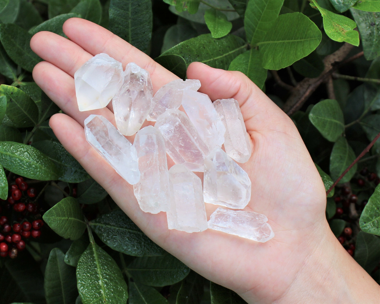 250 Carat Small Natural Clear Quartz Crystal Points (Jewelry, Crafts) 50 gm