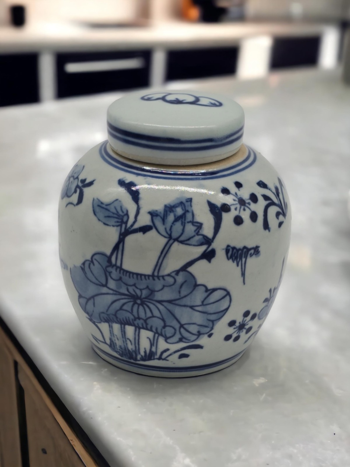 Festcool Antique Style Blue and White Porcelain Ceramic Covered GingerJar Vas...