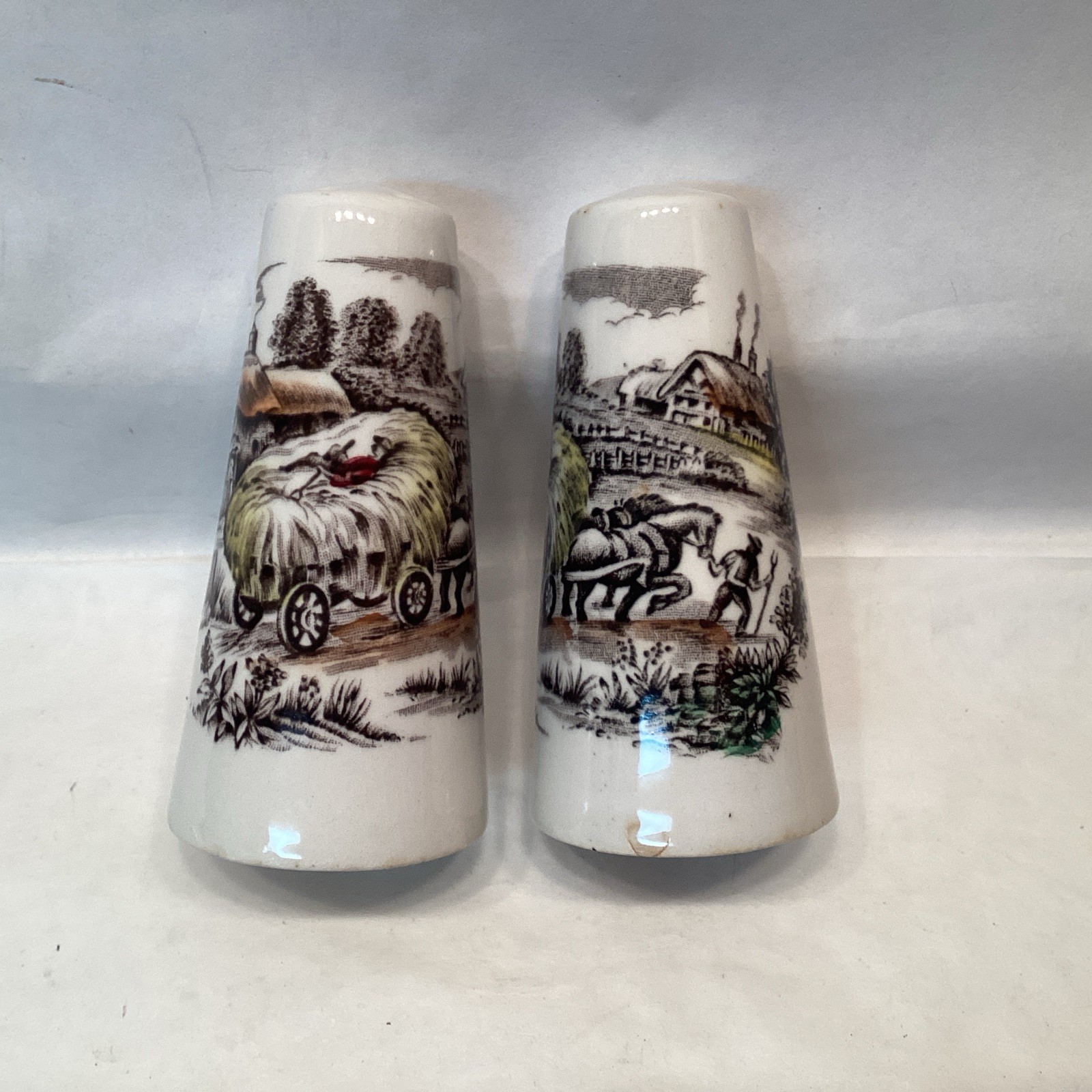 Yorkshire Staffordshire Ironstone Salt & Pepper Shakers English Cottagecore READ